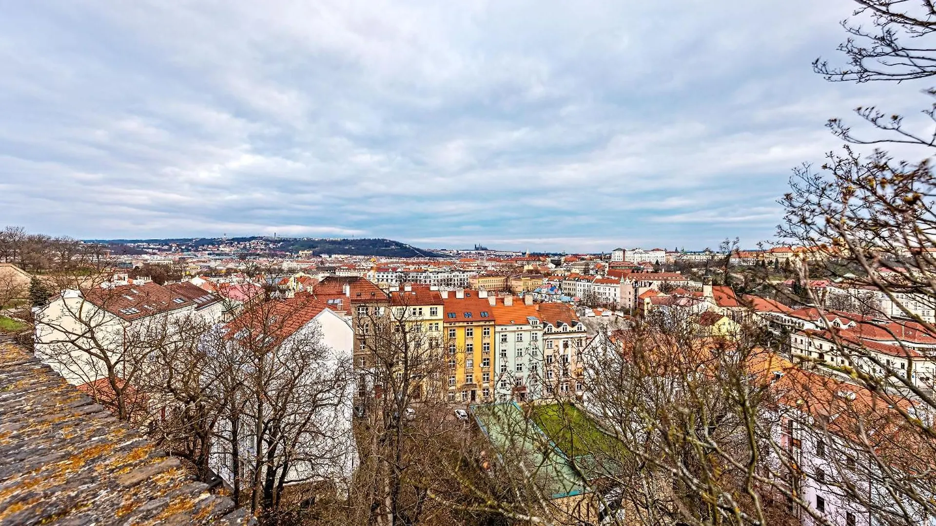 Cosy Studio In Vysehrad Prague